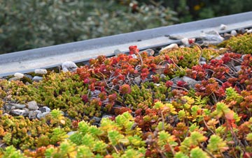 the cost of Ysbyty Ifan green roof installation