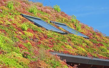 Ysbyty Ifan living roof systems