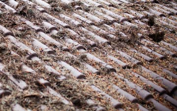 Ysbyty Ifan roof cleaning companies