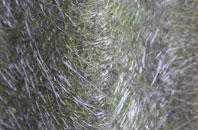 Ysbyty Ifan fibreglass roof work